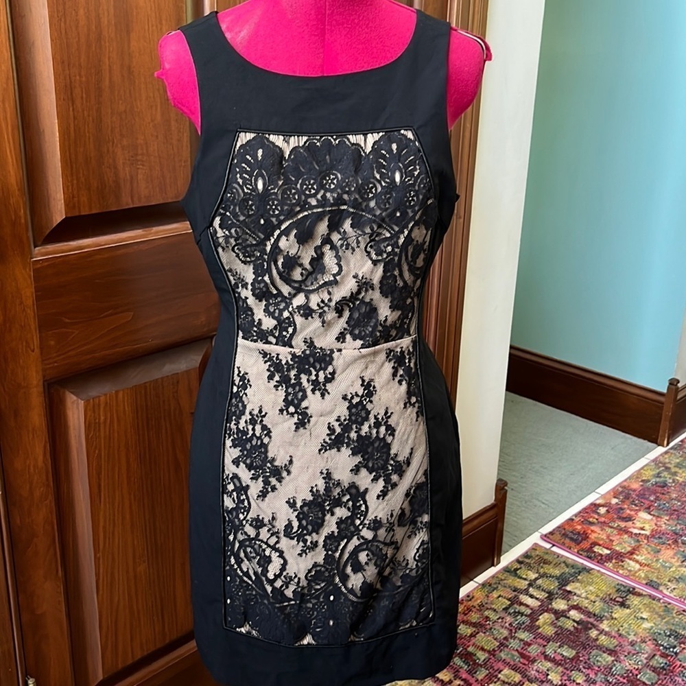 Tracy Reese Dress fitted Lined lace panels Scoop Neck V-back EUC Size 6